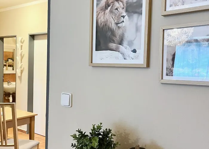 Nad Zoo